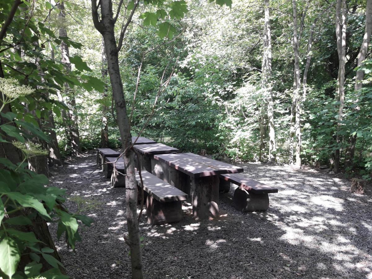 Apartament 59 , Ranczoturystyka Bielawa Sudety Esterno foto