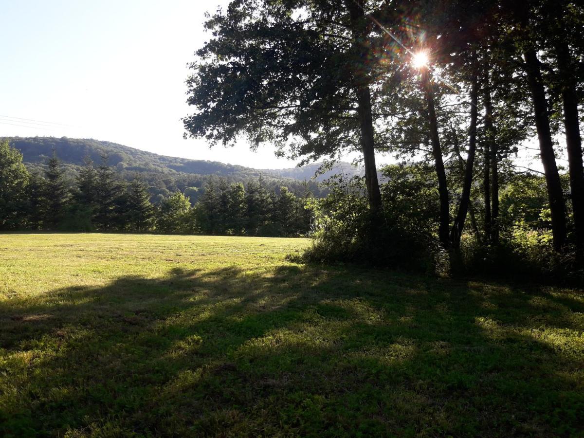 Apartament 59 , Ranczoturystyka Bielawa Sudety Esterno foto
